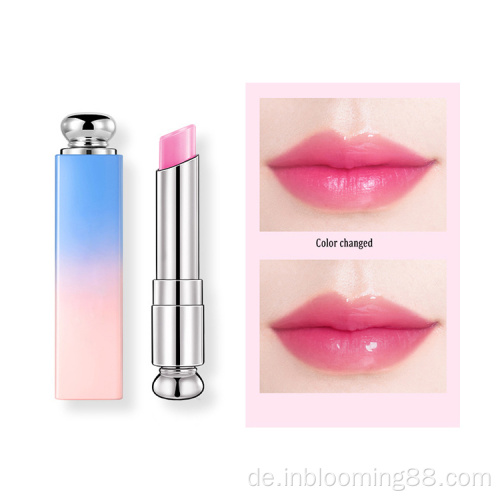 Langlebiges Großhandel Luxus Lippenstift Custom Logo